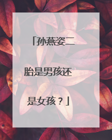 孙燕姿二胎是男孩还是女孩？