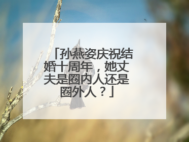 孙燕姿庆祝结婚十周年，她丈夫是圈内人还是圈外人？