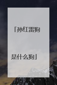 孙红雷狗是什么狗