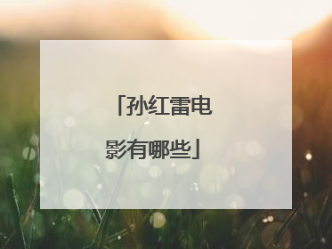 孙红雷电影有哪些