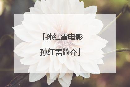 孙红雷电影 孙红雷简介