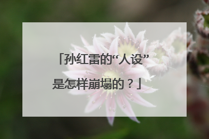 孙红雷的“人设”是怎样崩塌的？