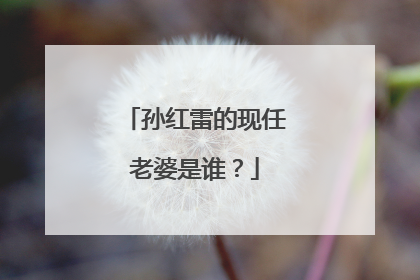 孙红雷的现任老婆是谁？