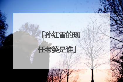 孙红雷的现任老婆是谁