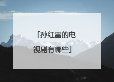 孙红雷的电视剧有哪些