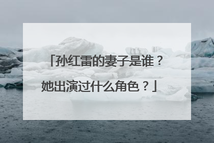 孙红雷的妻子是谁？她出演过什么角色？