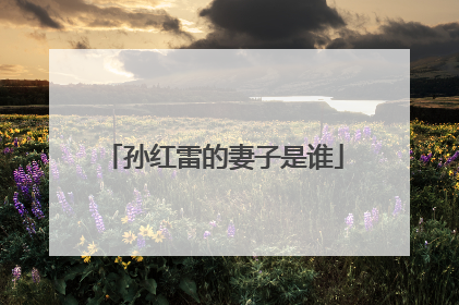 孙红雷的妻子是谁