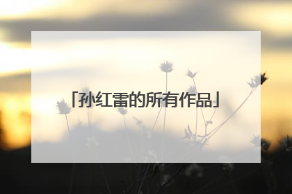 孙红雷的所有作品