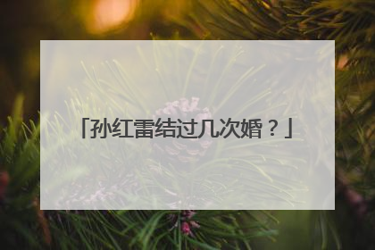 孙红雷结过几次婚？