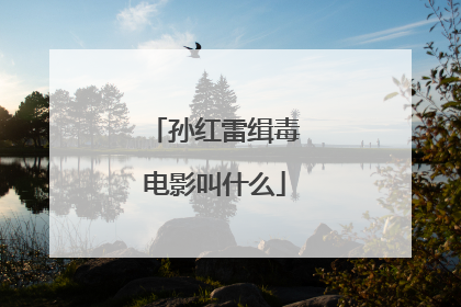 孙红雷缉毒电影叫什么