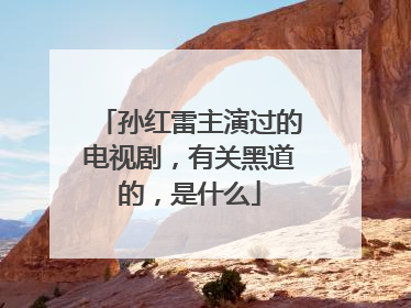 孙红雷主演过的电视剧,有关黑道的,是什么