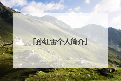 孙红雷个人简介