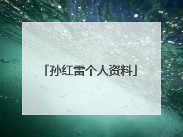 孙红雷个人资料