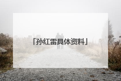 孙红雷具体资料