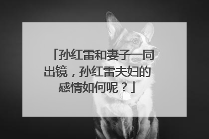 孙红雷和妻子一同出镜,孙红雷夫妇的感情如何呢?