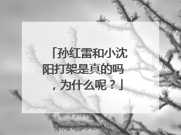 孙红雷和小沈阳打架是真的吗,为什么呢?