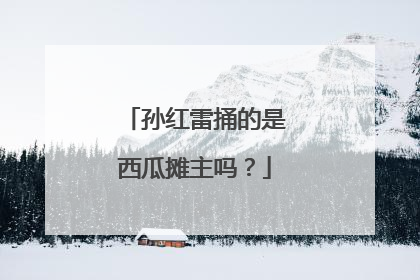 孙红雷捅的是西瓜摊主吗？