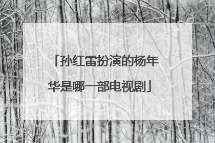 孙红雷扮演的杨年华是哪一部电视剧