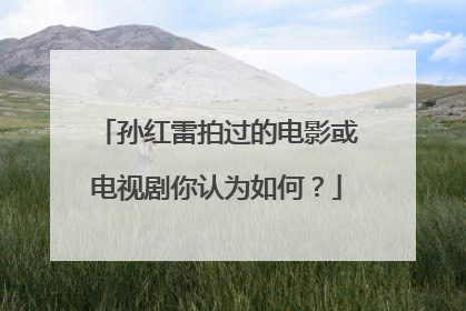 孙红雷拍过的电影或电视剧你认为如何?