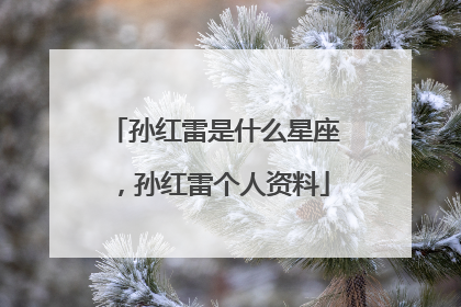 孙红雷是什么星座,孙红雷个人资料