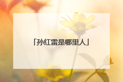 孙红雷是哪里人