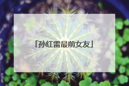 孙红雷最前女友