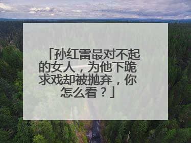 孙红雷最对不起的女人,为他下跪求戏却被抛弃,你怎么看?