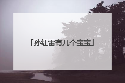 孙红雷有几个宝宝