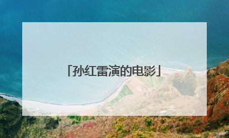 孙红雷演的电影