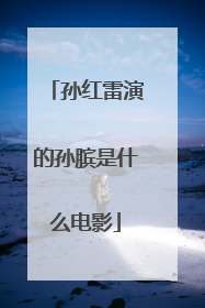 孙红雷演的孙膑是什么电影