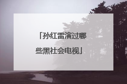 孙红雷演过哪些黑社会电视
