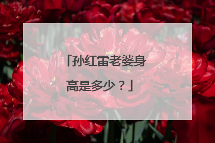 孙红雷老婆身高是多少?