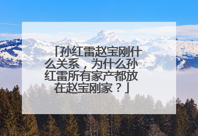 孙红雷赵宝刚什么关系,为什么孙红雷所有家产都放在赵宝刚家?