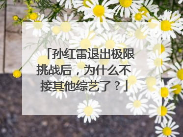 孙红雷退出极限挑战后,为什么不接其他综艺了?