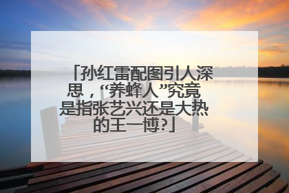 孙红雷配图引人深思,“养蜂人”究竟是指张艺兴还是大热的王一博?