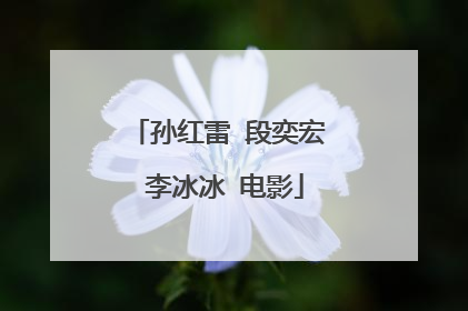 孙红雷 段奕宏 李冰冰 电影