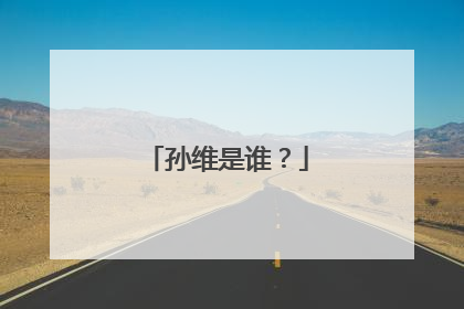 孙维是谁?