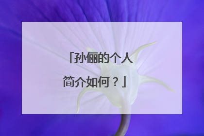 孙俪的个人简介如何？