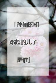 孙俪的和邓超的儿子是谁