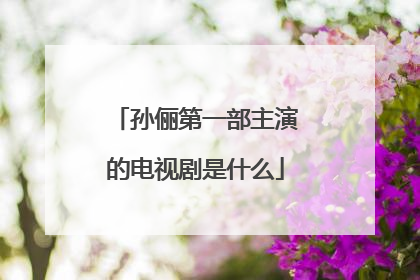 孙俪第一部主演的电视剧是什么