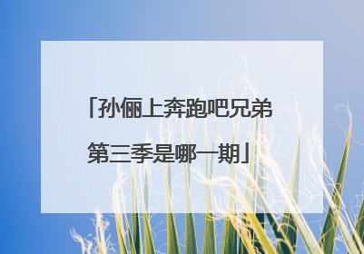 孙俪上奔跑吧兄弟第三季是哪一期