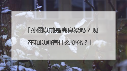 孙俪以前是高鼻梁吗?现在和以前有什么变化?