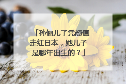 孙俪儿子凭颜值走红日本，她儿子是哪年出生的？
