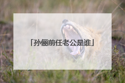 孙俪前任老公是谁