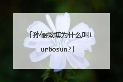 孙俪微博为什么叫turbosun?