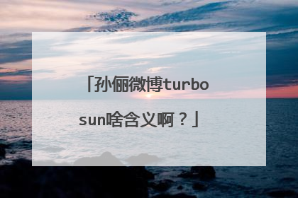 孙俪微博turbosun啥含义啊？