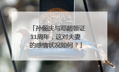 孙俪庆与邓超领证11周年,这对夫妻的感情状况如何?