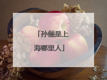 孙俪是上海哪里人