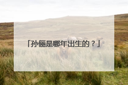 孙俪是哪年出生的？