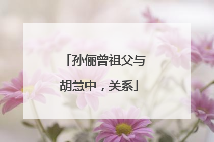 孙俪曾祖父与胡慧中,关系